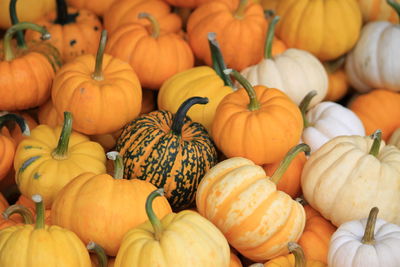 Full frame shot of pumpkins for sale at market stall