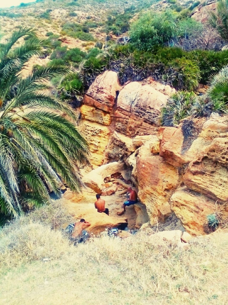 water, tranquility, nature, tranquil scene, scenics, beauty in nature, rock - object, landscape, high angle view, day, grass, plant, rock formation, idyllic, non-urban scene, sand, stream, outdoors, remote, river