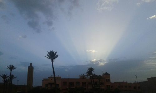 Low angle view of silhouette palm trees against sky