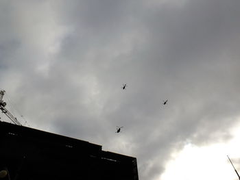 Birds flying in sky