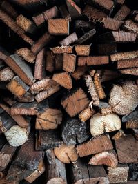 Full frame shot of logs in forest