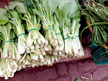 Full frame shot of bok choy