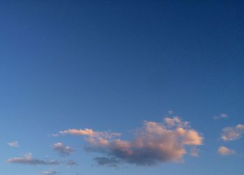 Low angle view of trees against blue sky