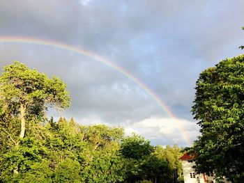 Low angle view of rainbow over trees against sky