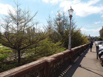 Narrow walkway along trees