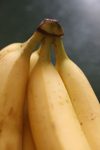 Close-up of bananas on plant