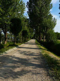 Empty road along trees