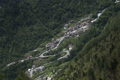 High angle view of road amidst trees