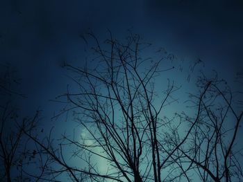 Low angle view of silhouette bare tree against sky at night