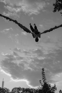 Low angle view of birds flying against sky