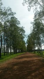 Road passing through landscape