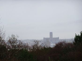 Trees in city against sky