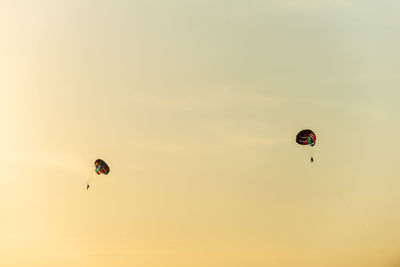 Low angle view of people paragliding against sky during sunset