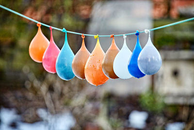 Close-up of multi colored balloons hanging on tree