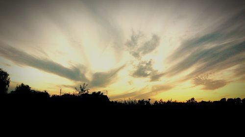 Silhouette of trees at sunset