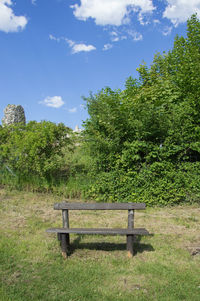 Trees on grassy field