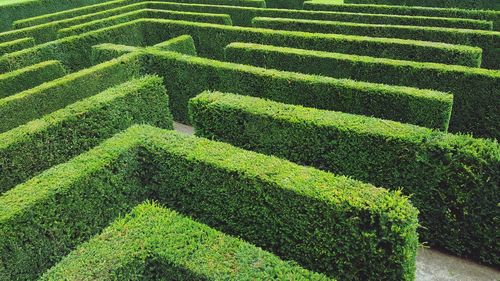 High angle view of steps on grass