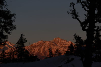 Silhouette trees on snow covered landscape against sky at night