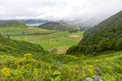 Scenic view of field against sky