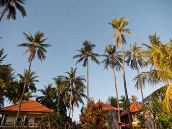 Hotel, beach resort with large bungalows, sun protection umbrellas by the sea among the palm trees.
