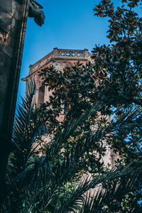 Low angle view of plants against clear sky