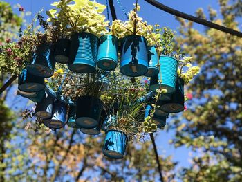 Low angle view of lighting equipment hanging on tree against blue sky