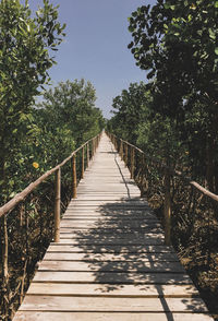 View of footbridge along plants