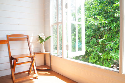 Potted plant on chair by window at home