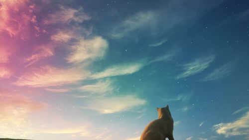 Low angle view of horse against sky