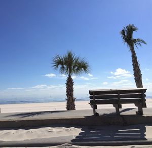 Palm trees on beach against clear sky