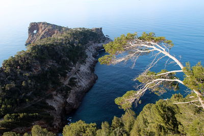 High angle view of rocks on beach