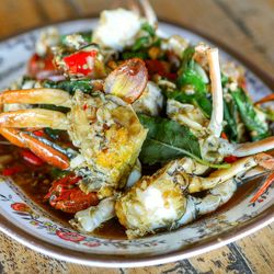 Close-up of meal served in plate