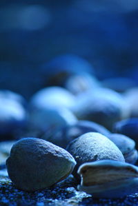 Close-up of pebbles