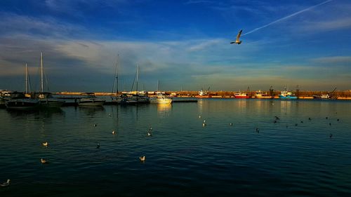 Sailboats moored on sea against sky