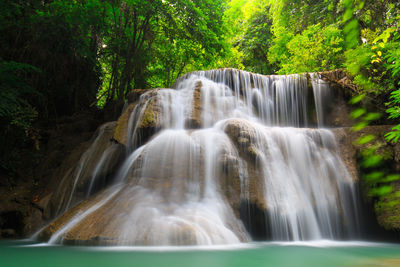 Scenic view of waterfall in forest