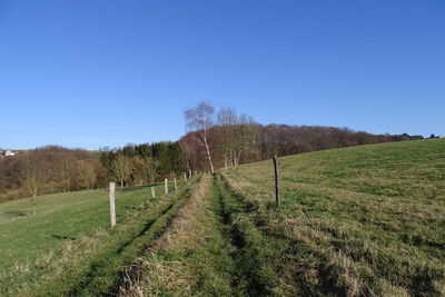 Scenic view of landscape against clear blue sky