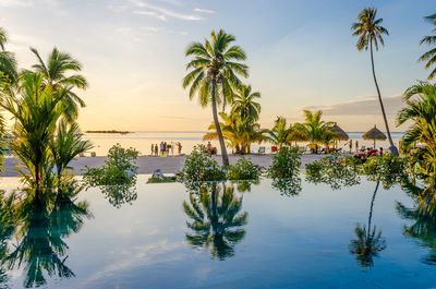 Palm trees by swimming pool against sky