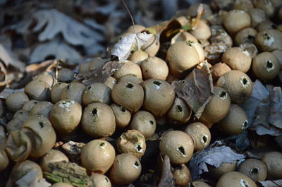 Full frame shot of eggs