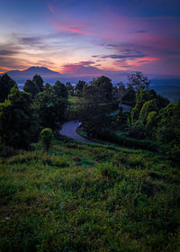 Scenic view of field against sky during sunset