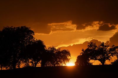 Silhouette trees against sky during sunset