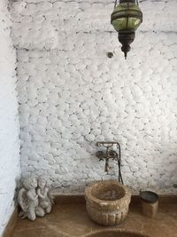 Close-up of potted plant against wall at home