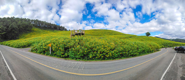 Panoramic view of road amidst plants against sky