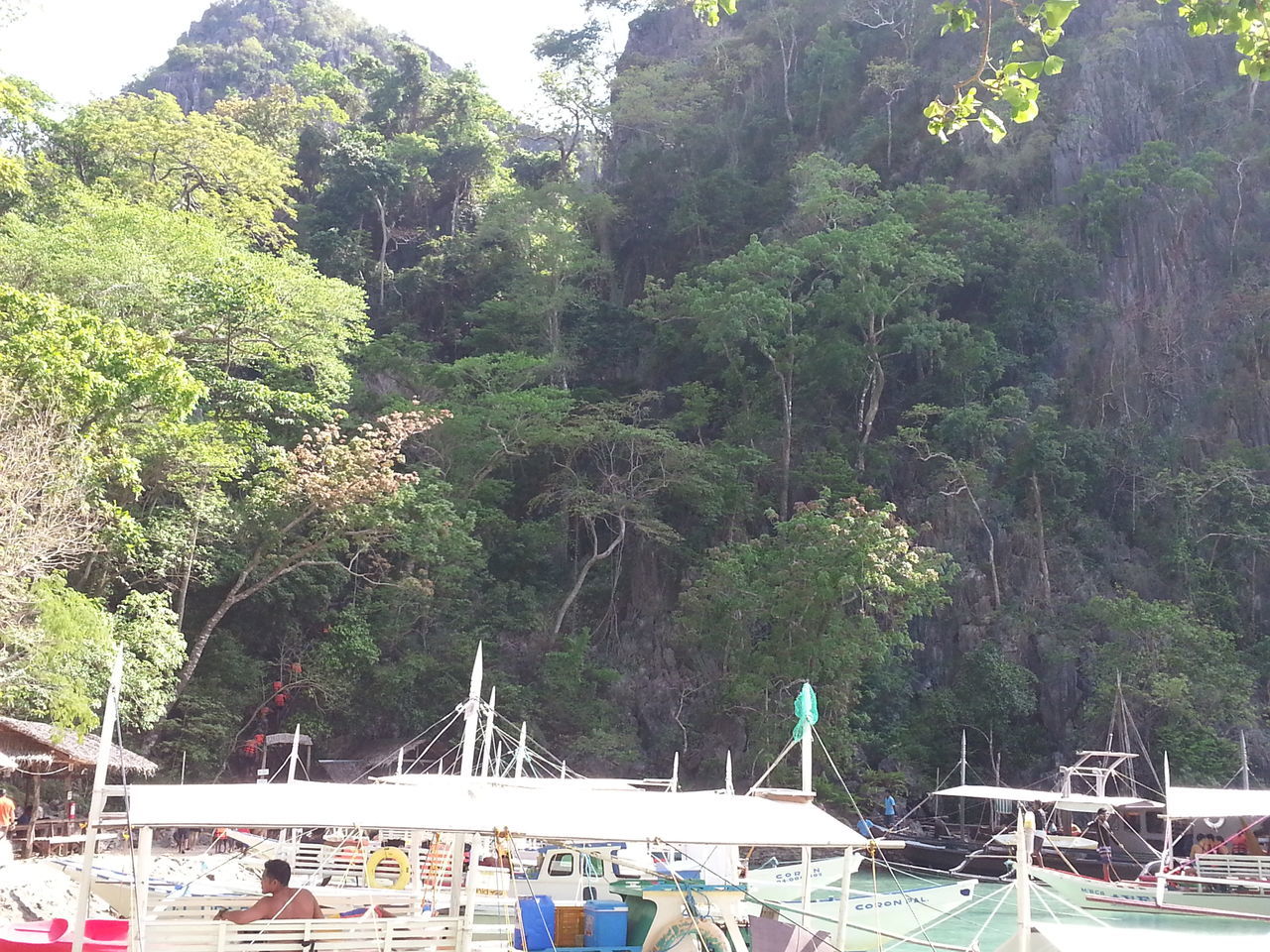 tree, plant, water, nautical vessel, nature, transportation, day, mountain, mode of transportation, growth, land, beauty in nature, green color, outdoors, moored, forest, incidental people, scenics - nature, tranquility, swimming pool, sailboat