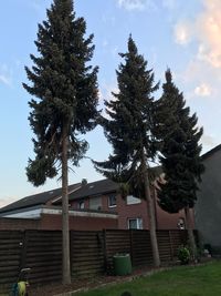 Trees by house on field against sky