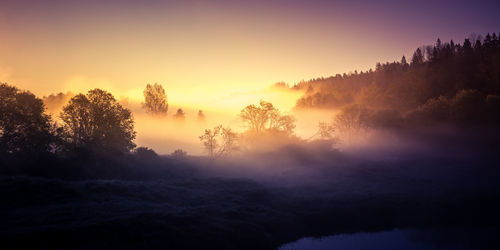 A beautiful river morning with mist and sun light. springtime scenery of river banks in europe. 