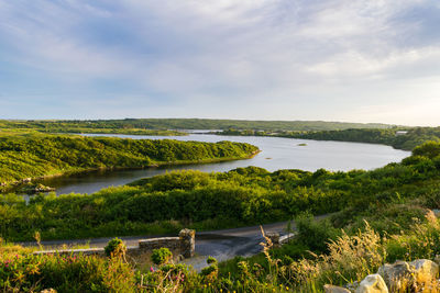 Scenic view of trees and lake against sky