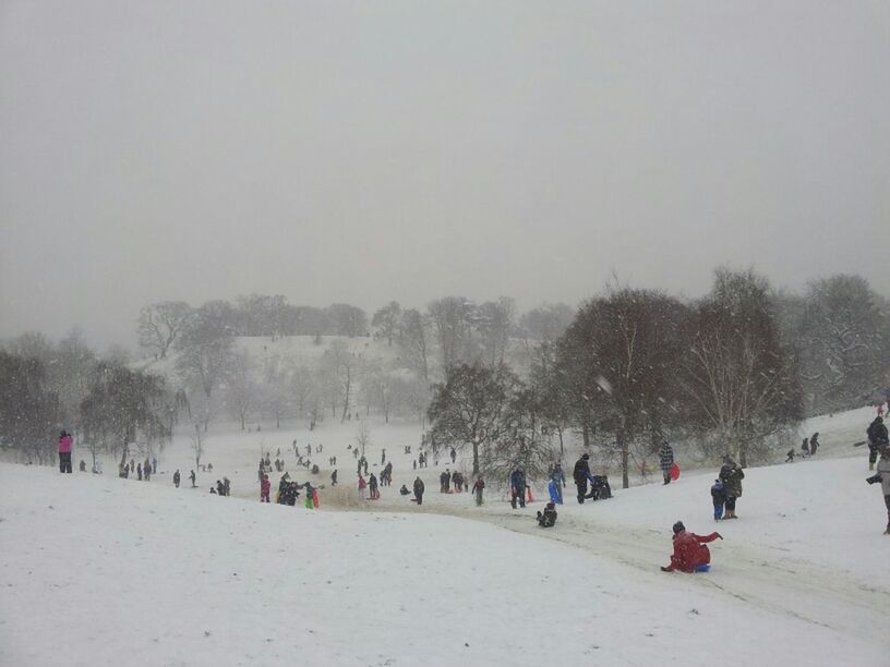 large group of people, lifestyles, leisure activity, men, mixed age range, vacations, person, weather, tourist, copy space, tree, beach, winter, enjoyment, cold temperature, tourism, nature, medium group of people, clear sky