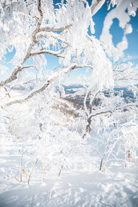 Full frame shot of snow