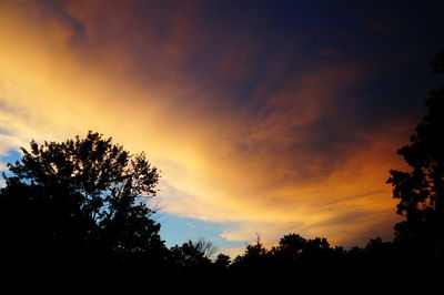 Low angle view of silhouette trees against sky during sunset