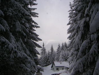 Road in winter